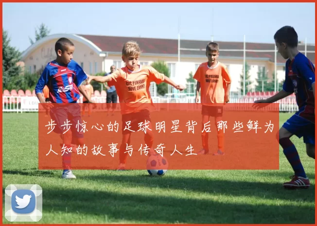 步步惊心的足球明星背后那些鲜为人知的故事与传奇人生