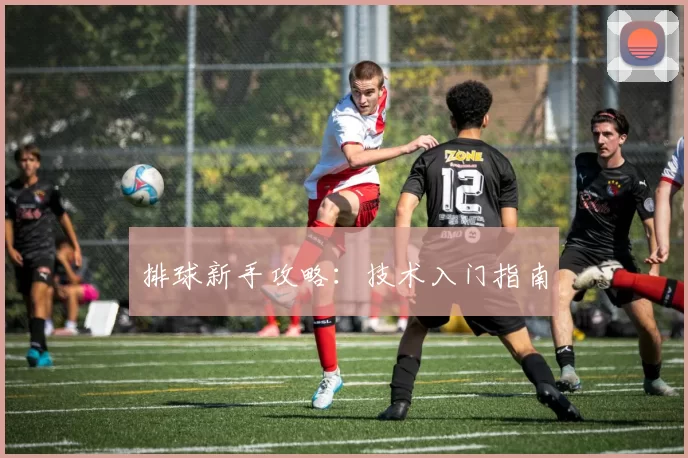 排球新手攻略：技术入门指南