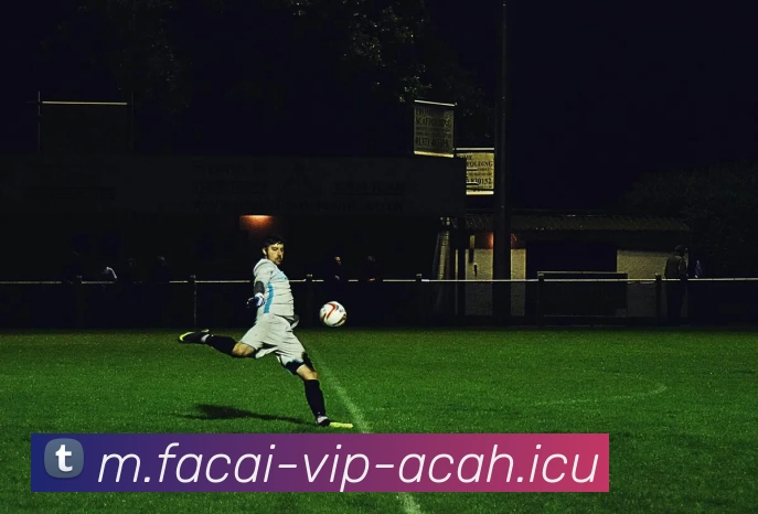 米兰体育注册平台生态图